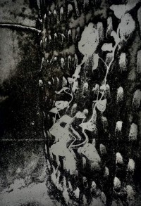 Ariba Akhlaque, Angan, A3, Photogravure Print, AC-ARAK-013